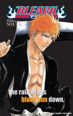 Bleach: Souls. Official Character Book [With Stickers]