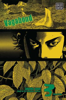 Vagabond, Vol. 3 (Vizbig Edition)