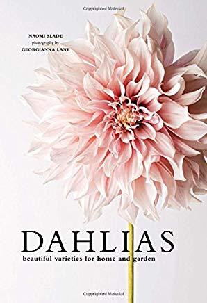 Dahlias: Beautiful Varieties for Home & Garden