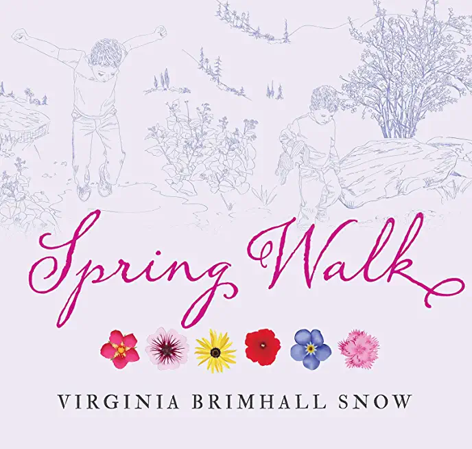 Spring Walk (Paperback)