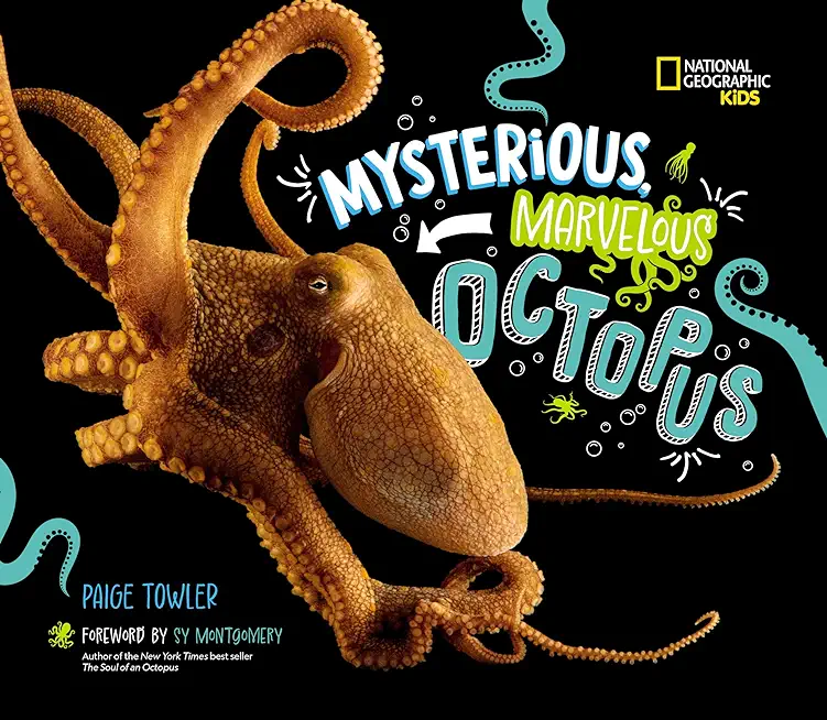 Mysterious, Marvelous Octopus