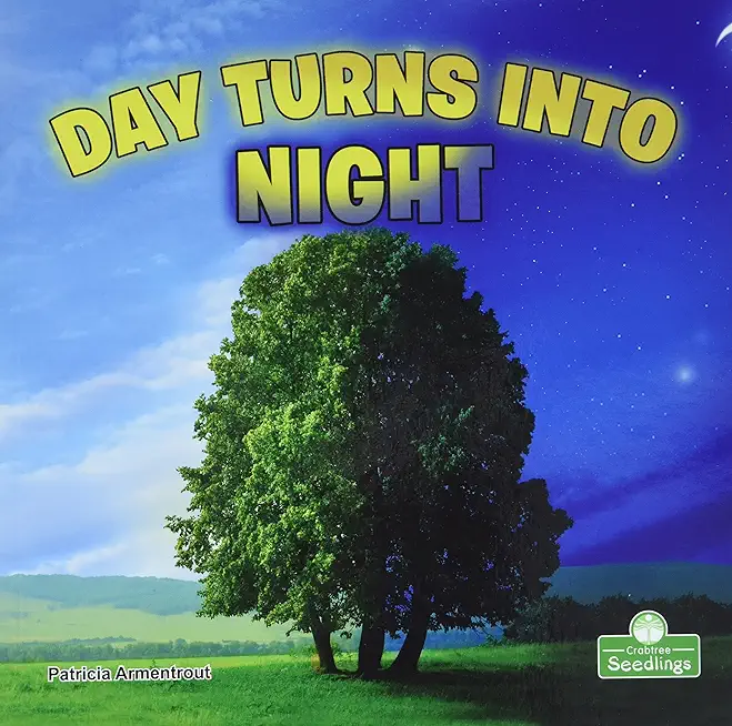 Day Turns Into Night