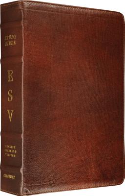 Study Bible-ESV: To Understand the Bible in a Deeper Way