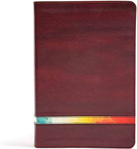 NIV Rainbow Study Bible, Maroon Leathertouch, Indexed