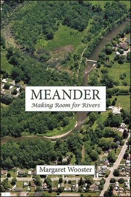 Meander: Making Room for Rivers