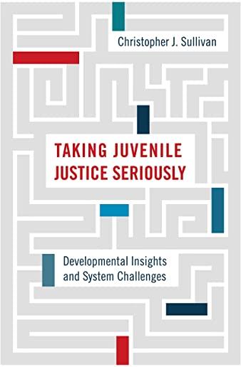 Taking Juvenile Justice Seriously: Developmental Insights and System Challenges