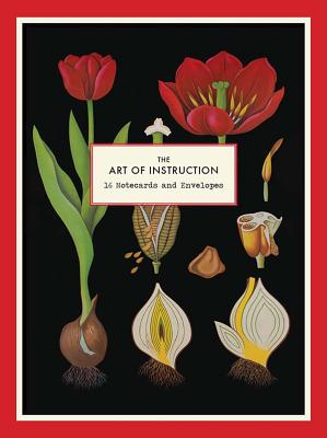 The Art of Instruction Notecards [With 16 Envelopes]