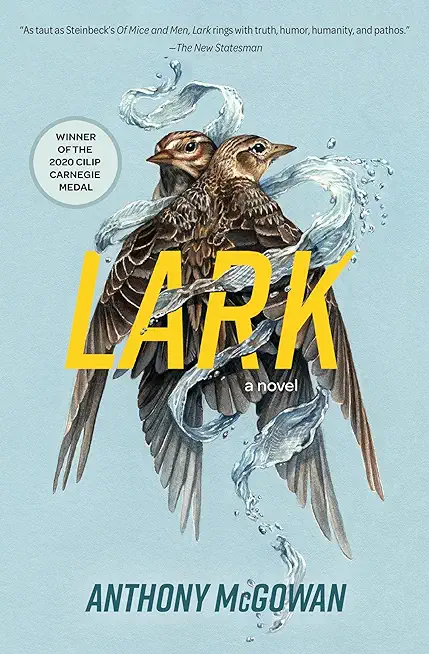 Lark: A Novel Volume 4