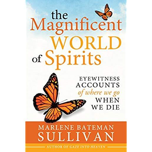 The Magnificient World of Spirits: Eyewitness Accounts of Where We Go When We Die