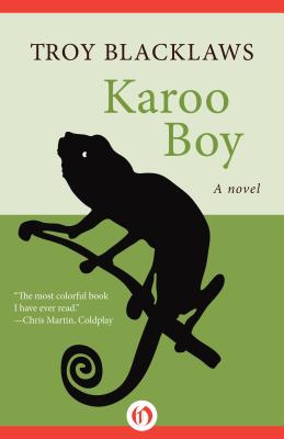 Karoo Boy