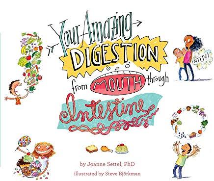Your Amazing Digestion from Mouth Through Intestine