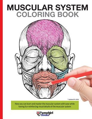 Muscular System Coloring Book: Now you can learn and master the muscular system with ease while having fun
