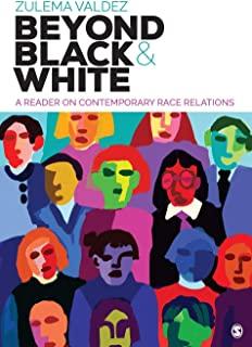Beyond Black and White: A Reader on Contemporary Race Relations