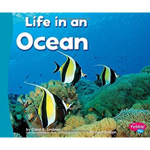 Life in an Ocean