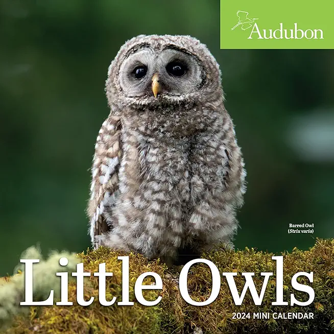 Audubon Little Owls Mini Wall Calendar 2024: A Year of Fluffy and Round Owls