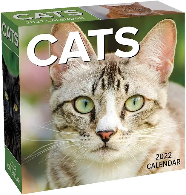 Cats 2022 Day-To-Day Calendar