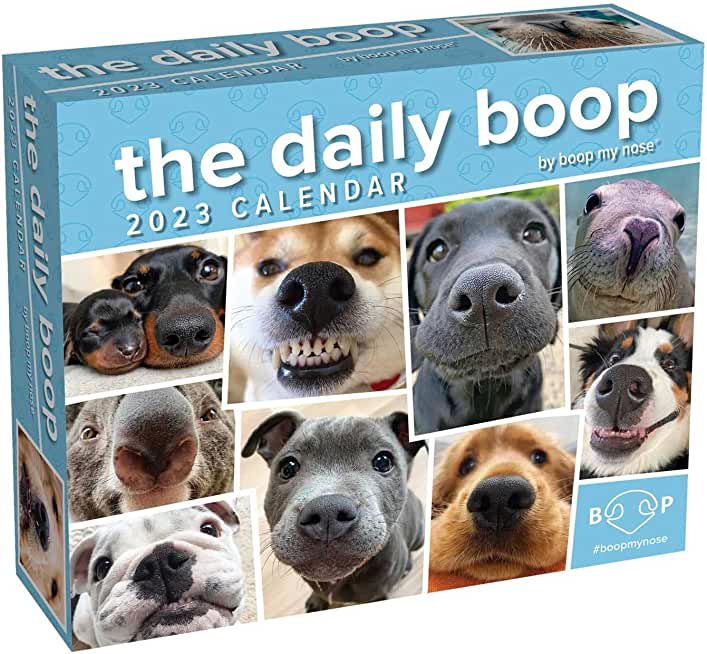 The Daily Boop 2023 Day-To-Day Calendar: By Boop My Nose