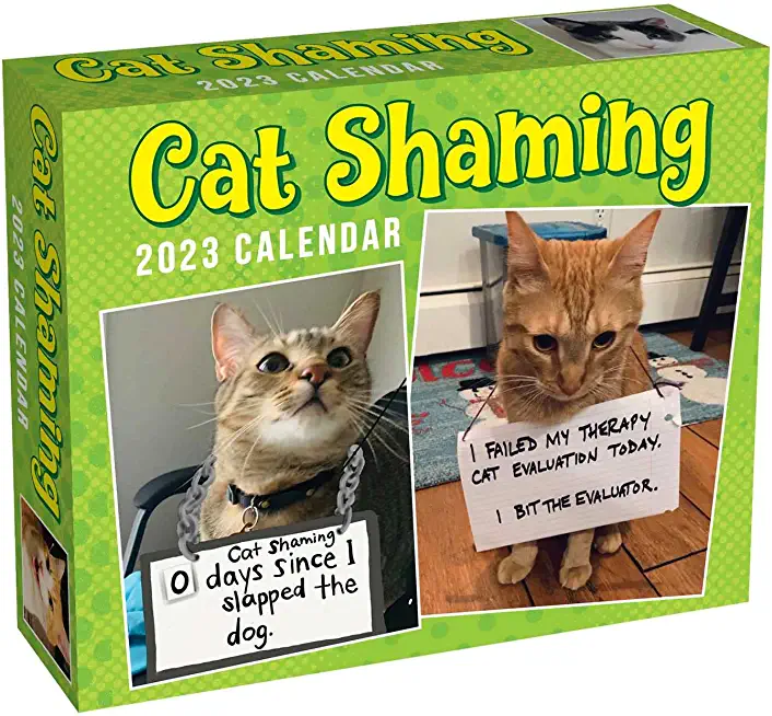 Cat Shaming 2023 Day-To-Day Calendar