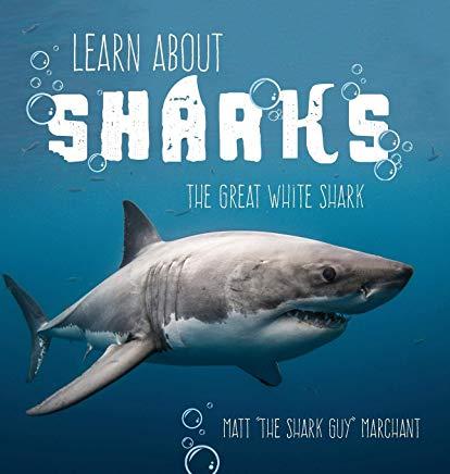 Learn About Sharks: The Great White Shark