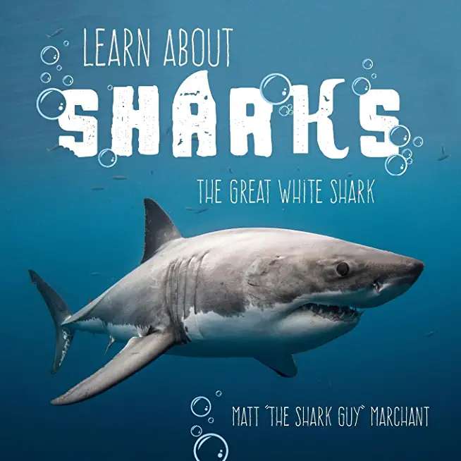 Learn About Sharks: The Great White Shark