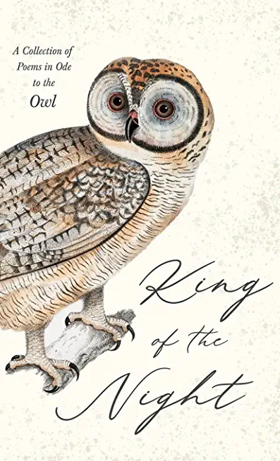 King of the Night - A Collection of Poems in Ode to the Owl