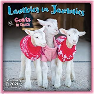 2021 Lambies in Jammies & Goats in Coats 16-Month Wall Calendar