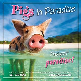 2021 Pigs in Paradise 16-Month Wall Calendar