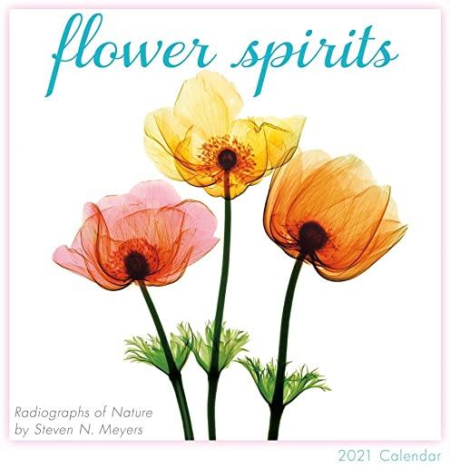 2021 Flower Spirits -- Radiographs of Nature by Steven N. Meyers Mini Calendar
