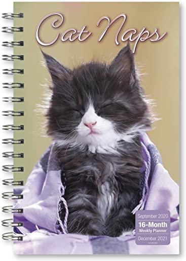 2021 Cat Naps 17-Month Weekly Planner