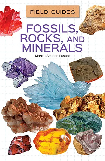 Fossils, Rocks, and Minerals
