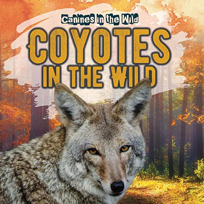 Coyotes in the Wild