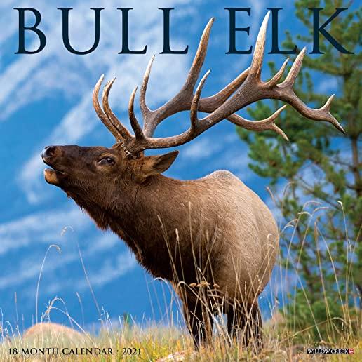 Bull Elk 2021 Wall Calendar