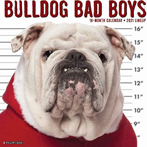 Bulldog Bad Boys 2021 Wall Calendar (Dog Breed Calendar)