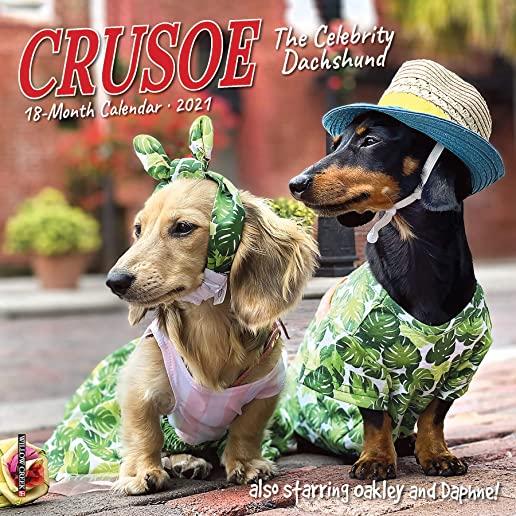 Crusoe the Celebrity Dachshund 2021 Mini Wall Calendar (Dog Breed Calendar)