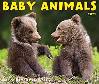 Baby Animals 2021 Box Calendar