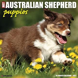 Just Australian Shepherd Puppies 2021 Wall Calendar (Dog Breed Calendar)