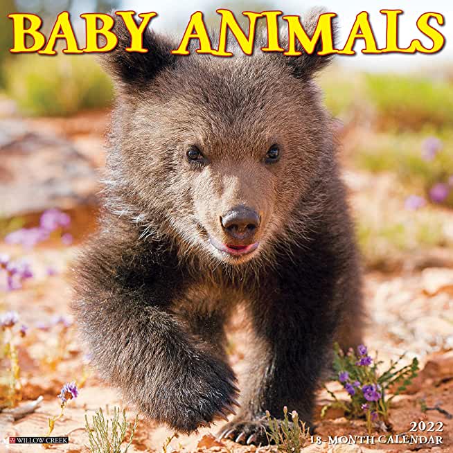 Baby Animals 2022 Wall Calendar