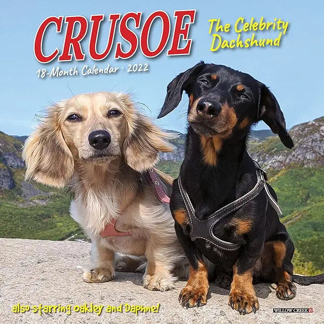 Crusoe the Celebrity Dachshund 2022 Mini Wall Calendar