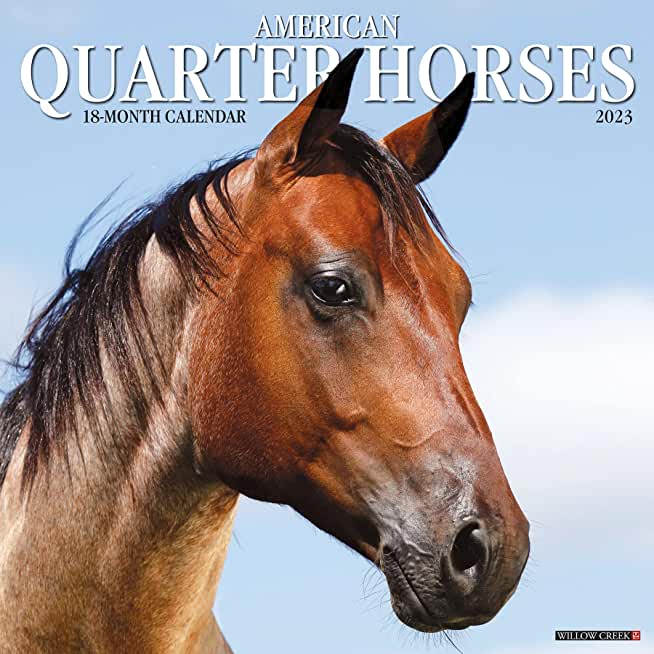 American Quarter Horses 2023 Wall Calendar