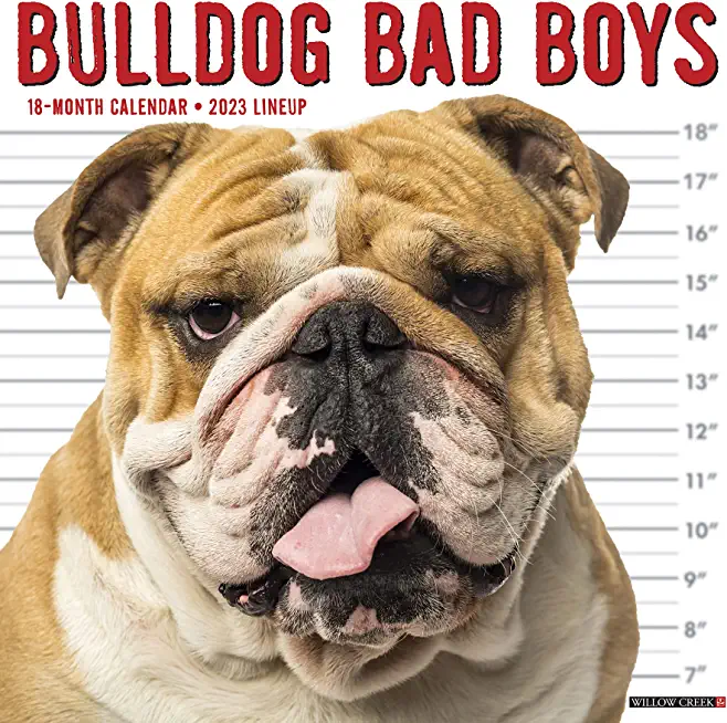 Bulldog Bad Boys 2023 Wall Calendar