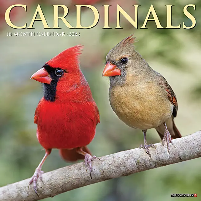 Cardinals 2023 Wall Calendar