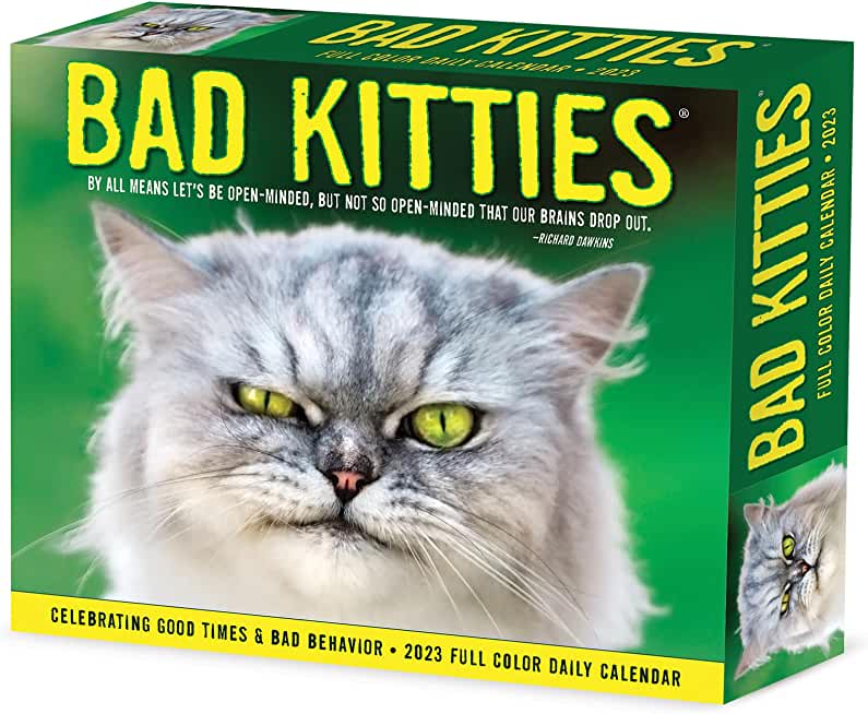 Bad Kitties 2023 Box Calendar