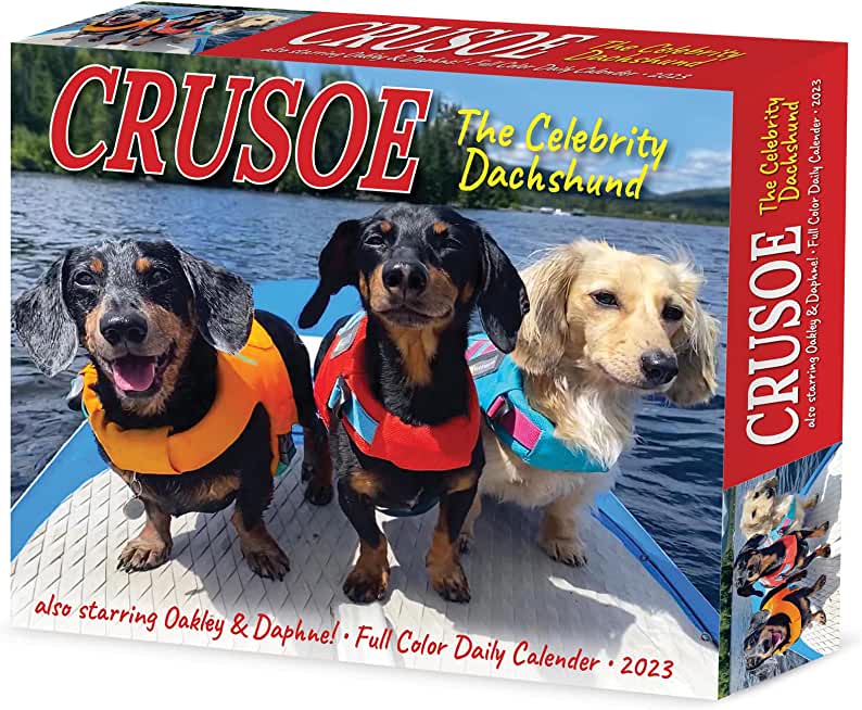 Crusoe the Celebrity Dachshund 2023 Box Calendar