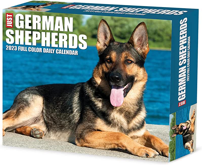 German Shepherds 2023 Box Calendar