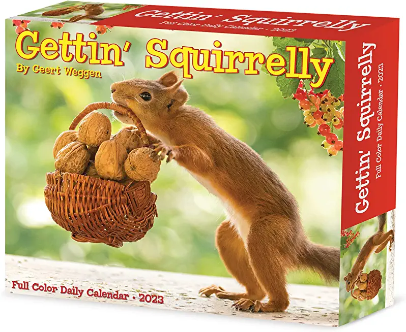 Gettin' Squirrelly 2023 Box Calendar