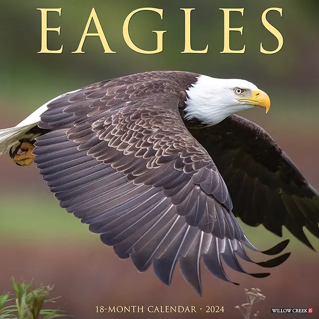 Eagles 2024 12 X 12 Wall Calendar