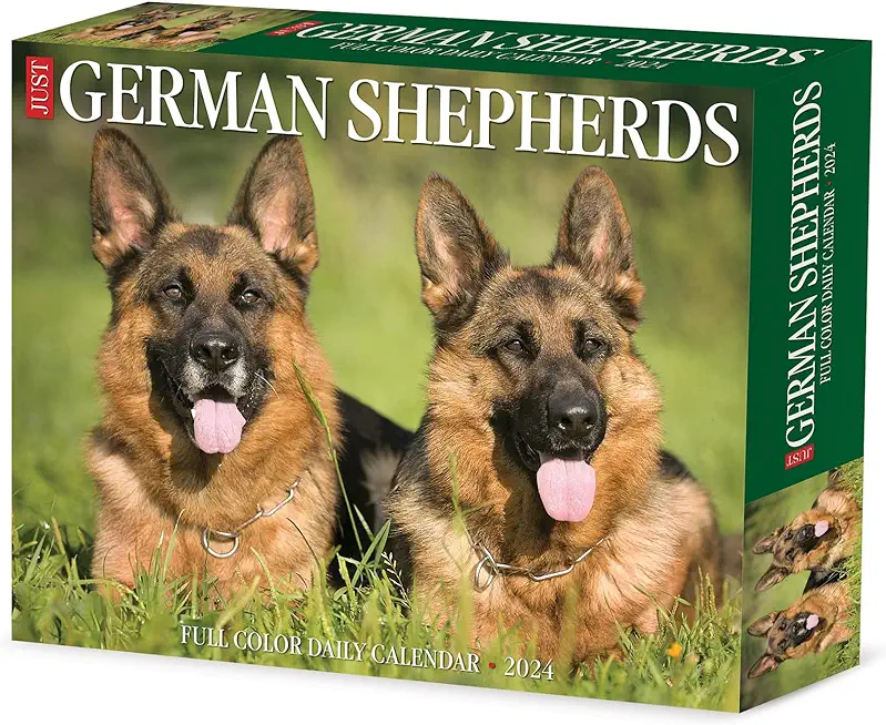 German Shepherds 2024 6.2 X 5.4 Box Calendar