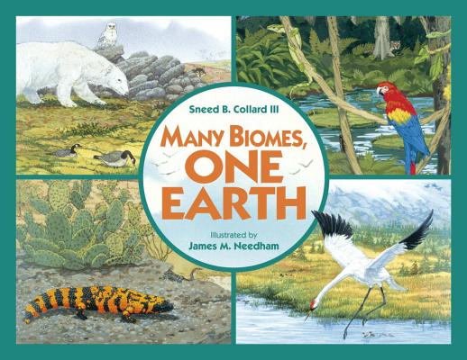 Many Biomes, One Earth: Exploring Terrestrial Biomes of North and South America