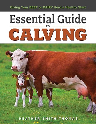 Essential Guide to Calving: Giving Your Beef or Dairy Herd a Healthy Start