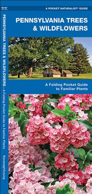 Pennsylvania Trees & Wildflowers: A Folding Pocket Guide to Familiar Plants